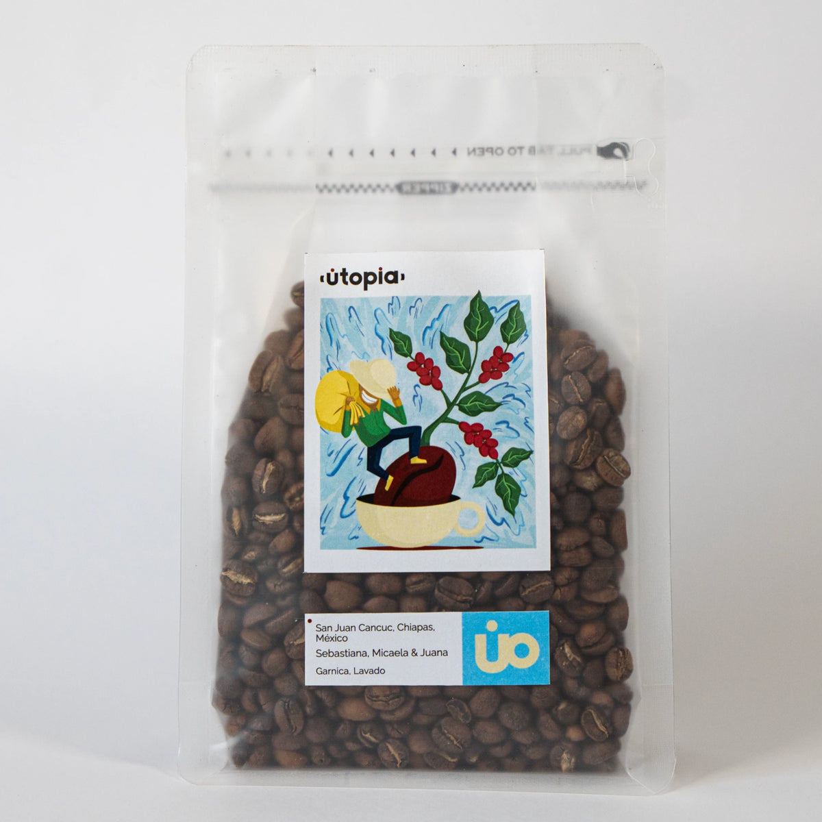 Gárnica Lavado de Chiapas 250g.